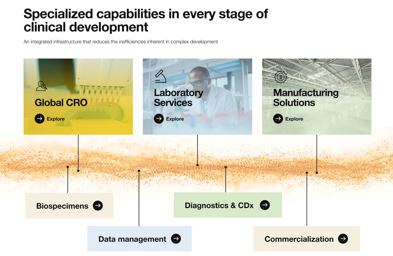 Precision for Medicine Services